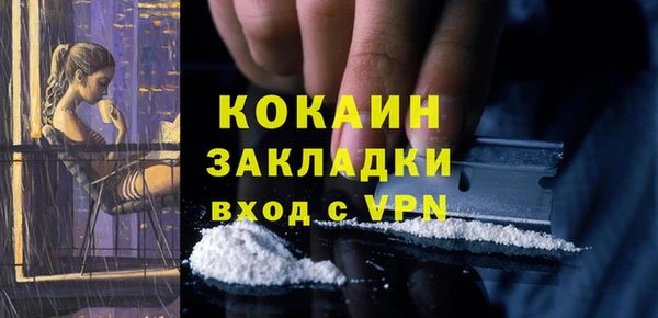 прущие грибы Арсеньев